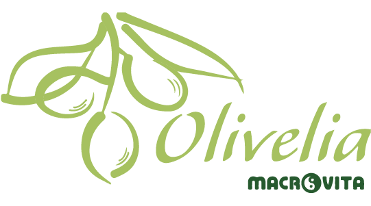 logo-1.png
