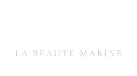 logo-2.png